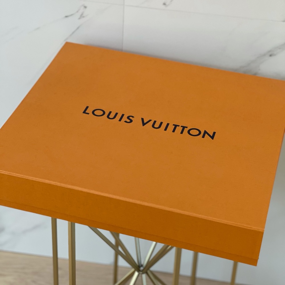 Louis Vuitton magnetic box for a large purse